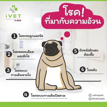 โรงที่มากับความอ้วน